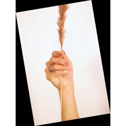 Manicure Mónica